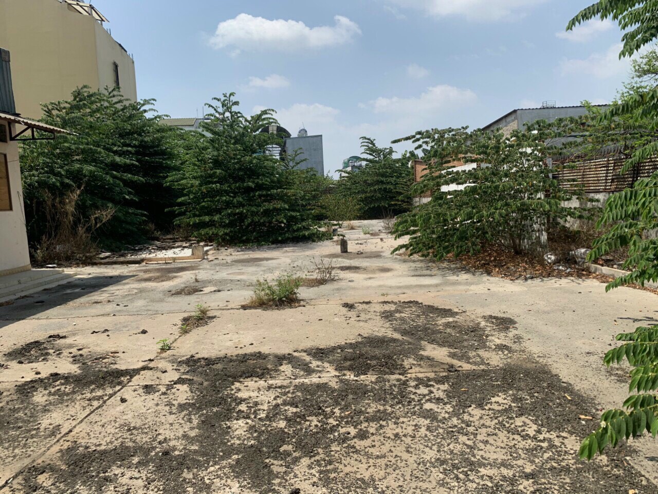 Cần bán Đất đẹp Thổ cư. Mặt tiền đường số 9, P. Linh Tây, Diện tích 920m², Giá 60 Tỷ