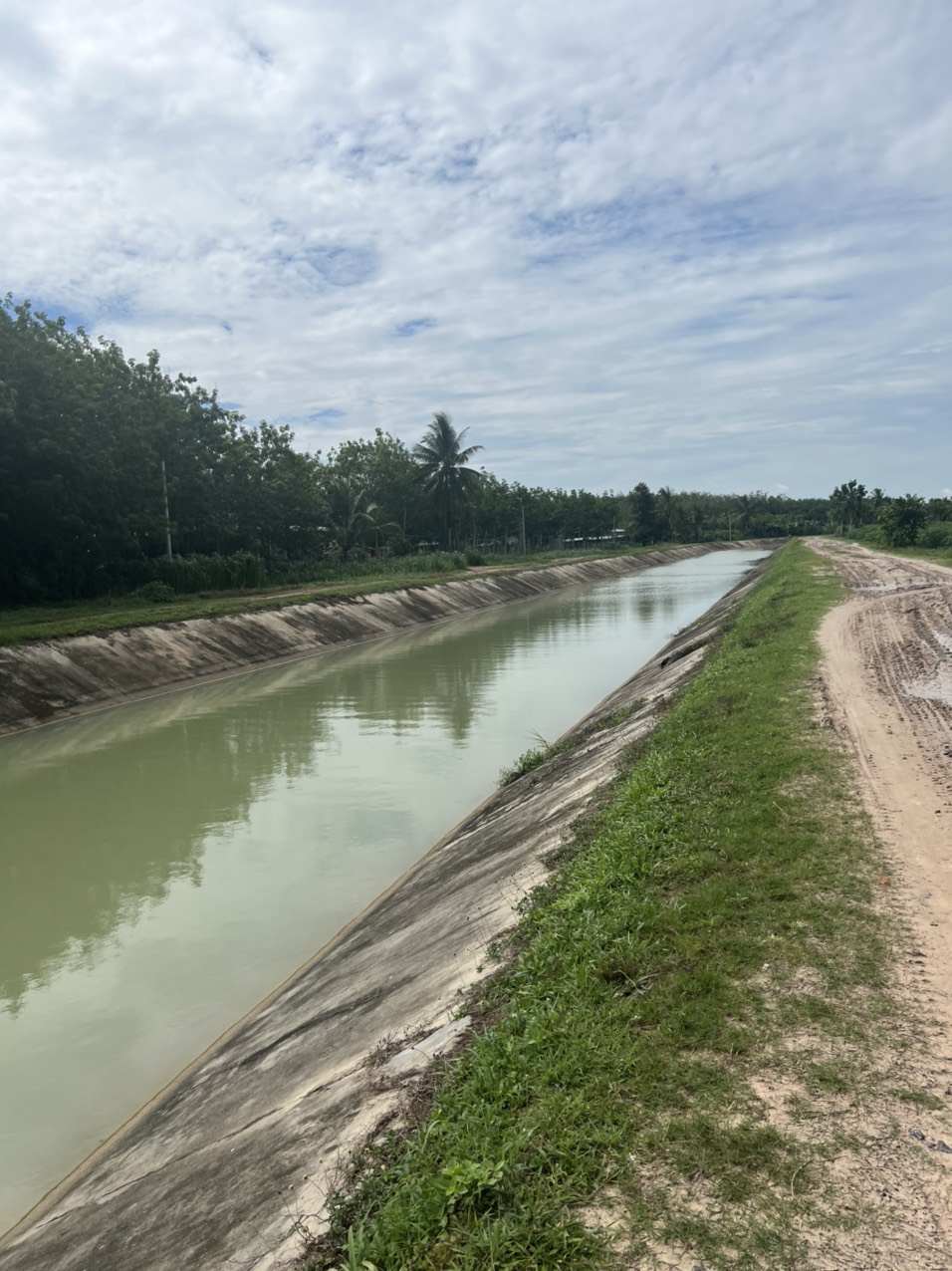 Bán đất An Cơ- Châu Thành- Tây Ninh giá rẻ full thổ cư 2 mặt tiền đường giá chỉ 2xx