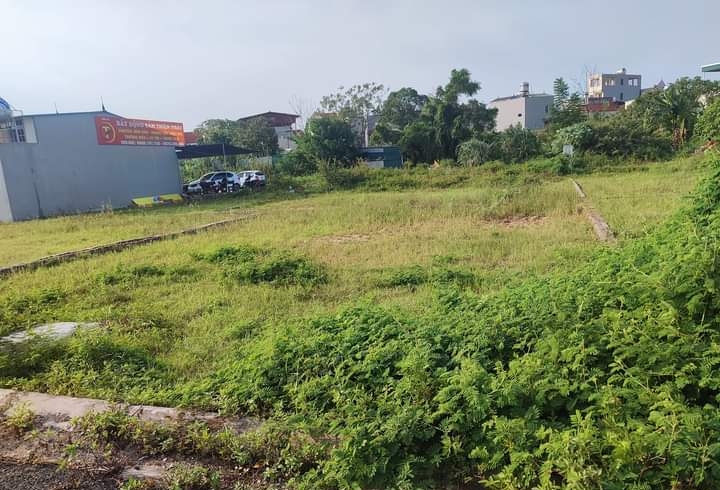 MẶT PHỐ THƯỢNG CÁT 135.7M2 Ô TÔ TRÁNH, MẶT TIỀN KINH DOANH KHỦNG 9.5TỶ