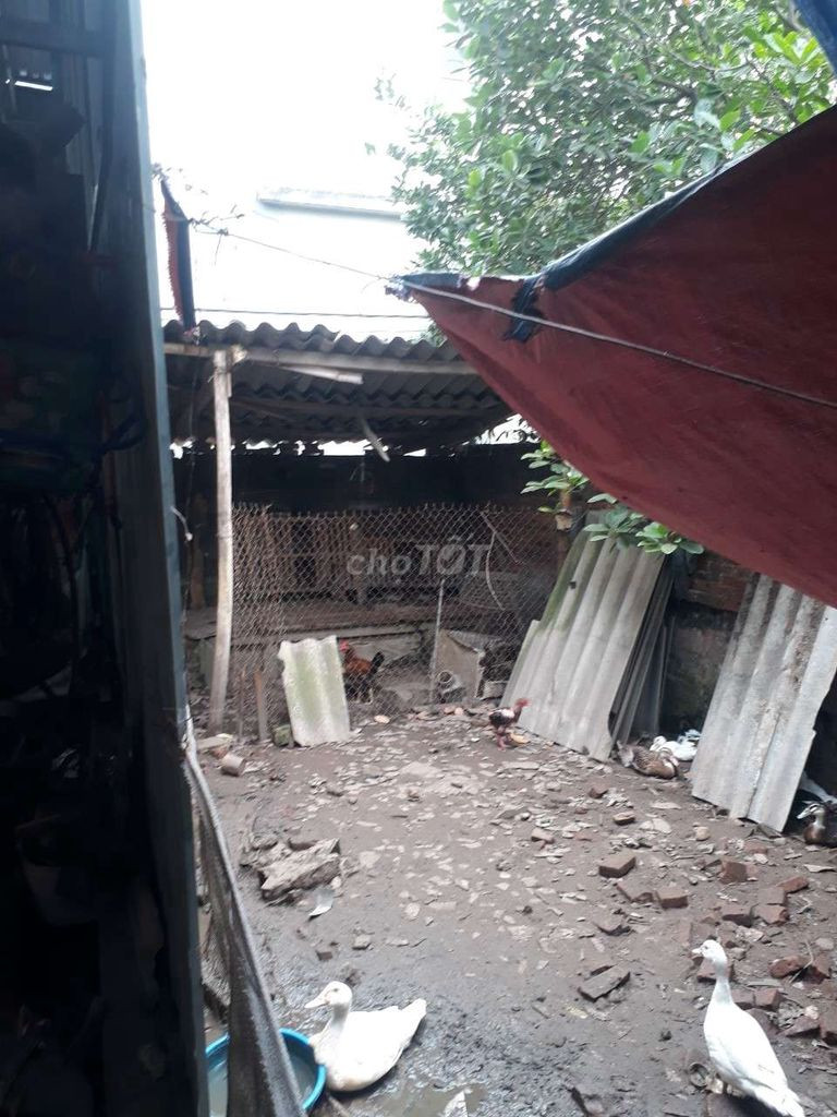 Bán đất thổ cư, gần kcn Ngọc Hồi.