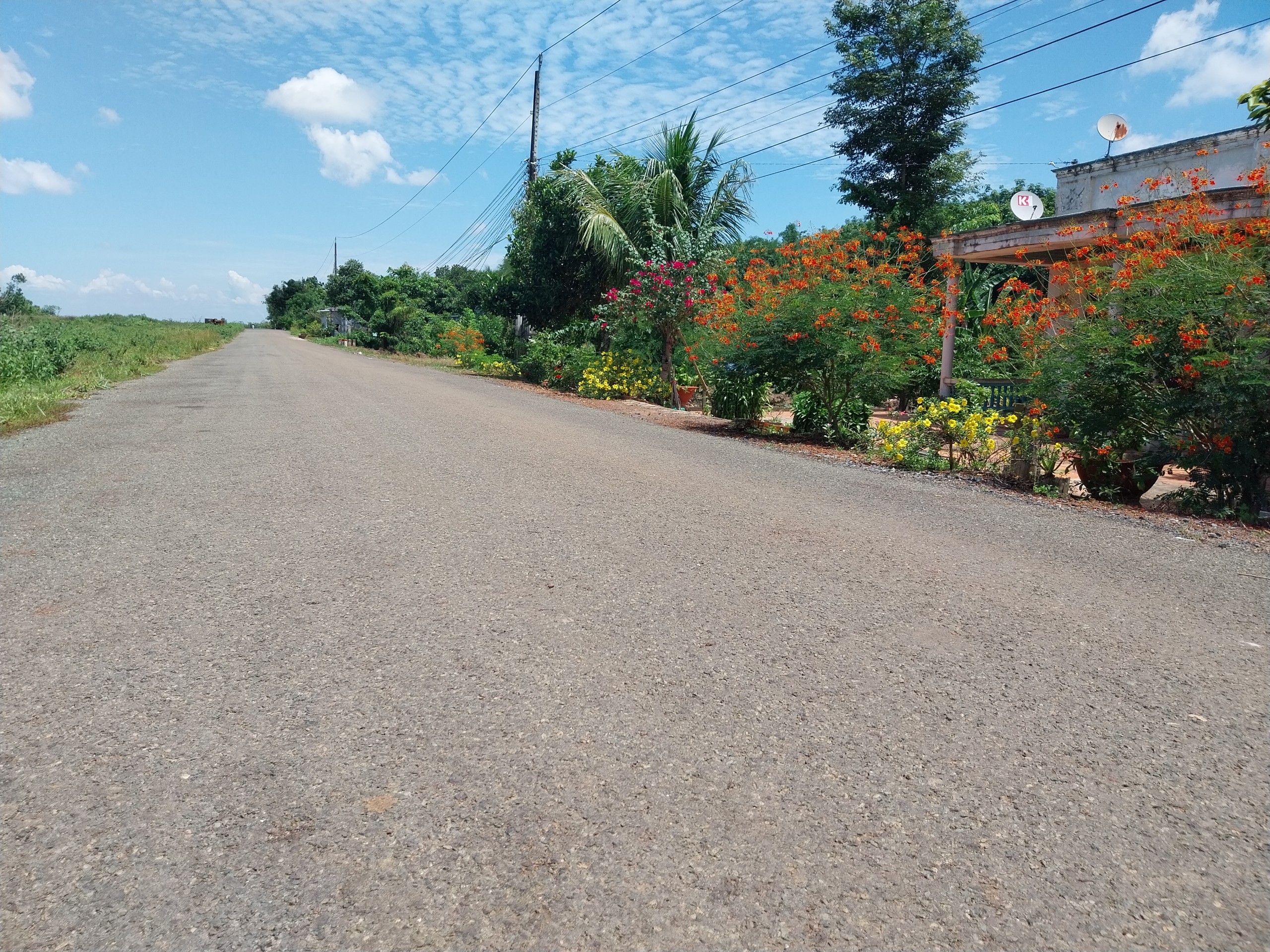 460 triệu/225m2 bên hông trục Chơn Thành - Hoa Lư, sát UB Minh Tâm, KCN Việt Kiều (Bình Phước)