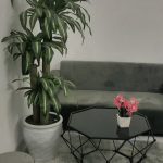  40m2 - 1