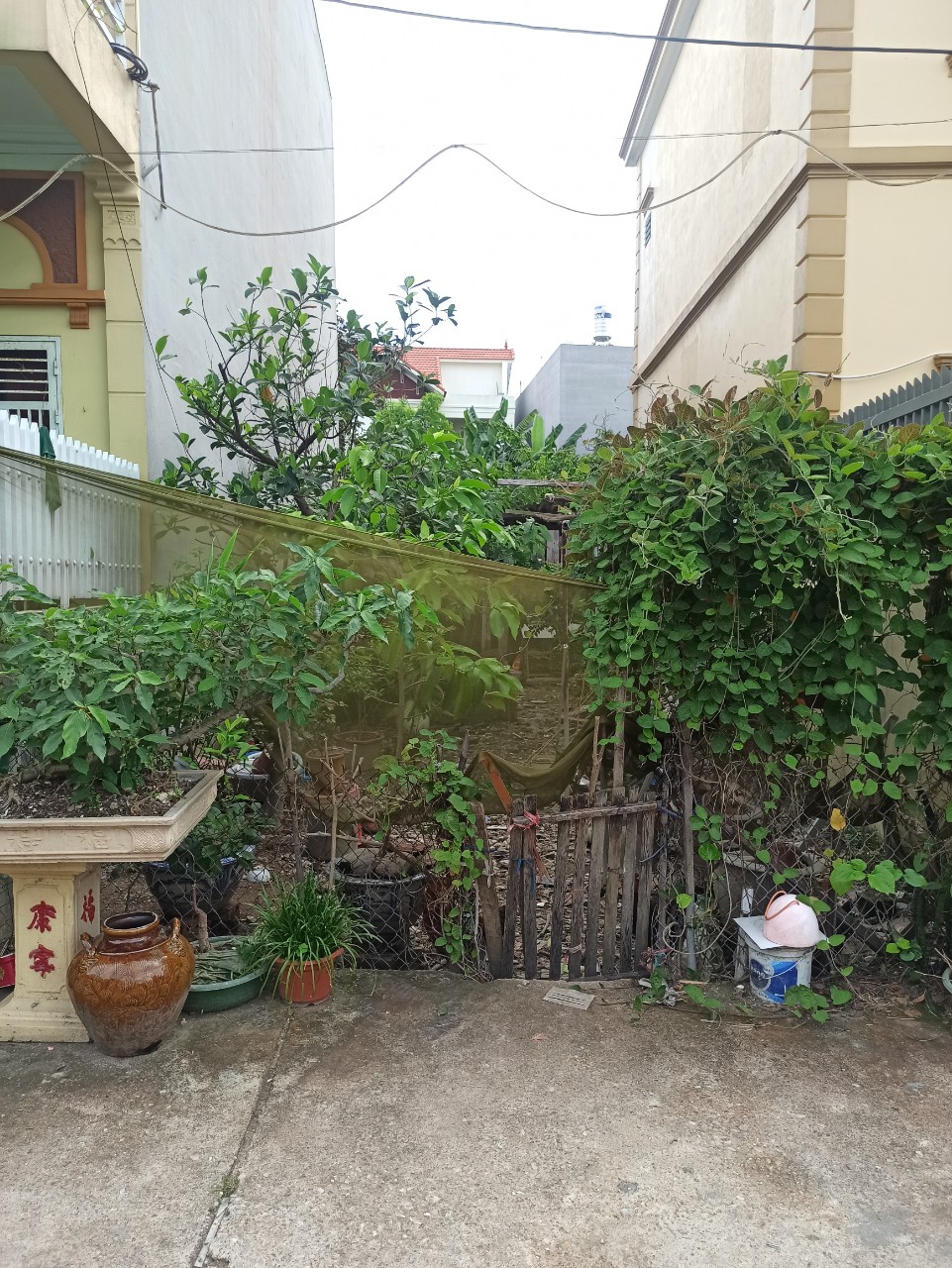 Bán đất ngõ 149 Trung Hành -Hải An , diện tích 60m, GIÁ 1.67 tỉ