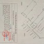 81m2 - 4