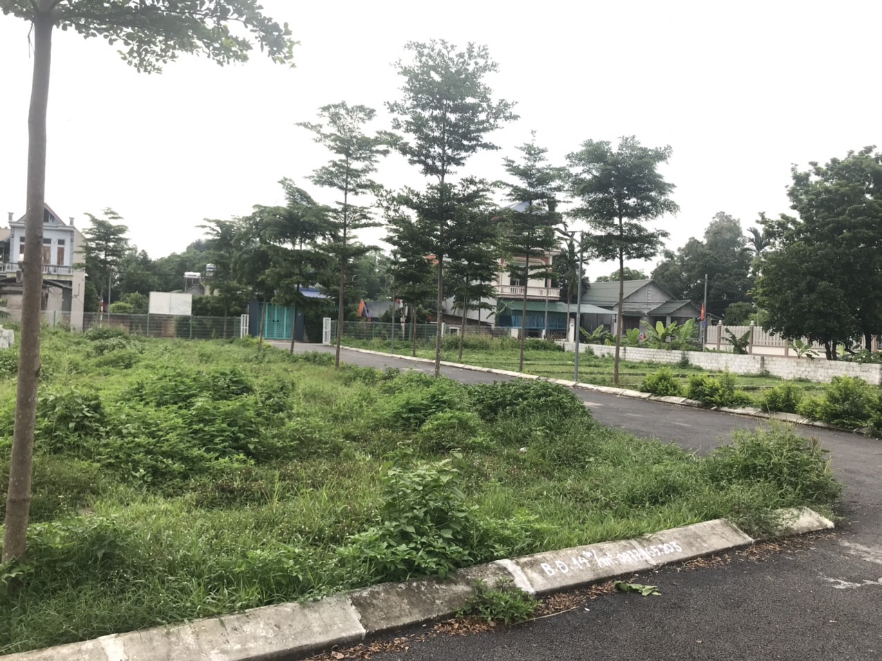 CẦN BÁN GẤP ĐẤT THÔN 8 TÂN XÃ GIÁ CẮT LỖ