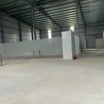  5500m2 - 1