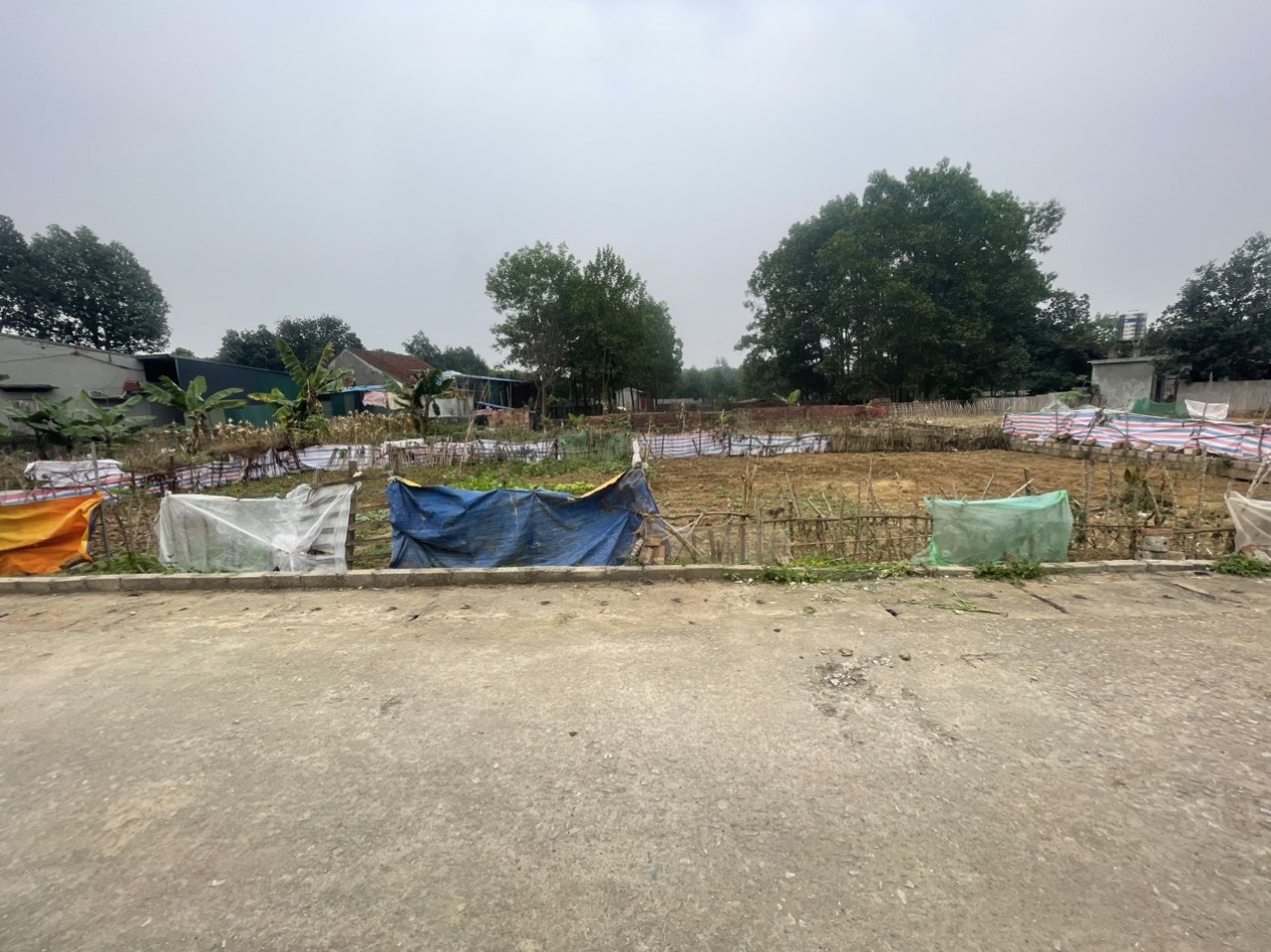 HƠN 500M FULL THỔ CƯ TÂN XÃ GIÁ ĐẸP