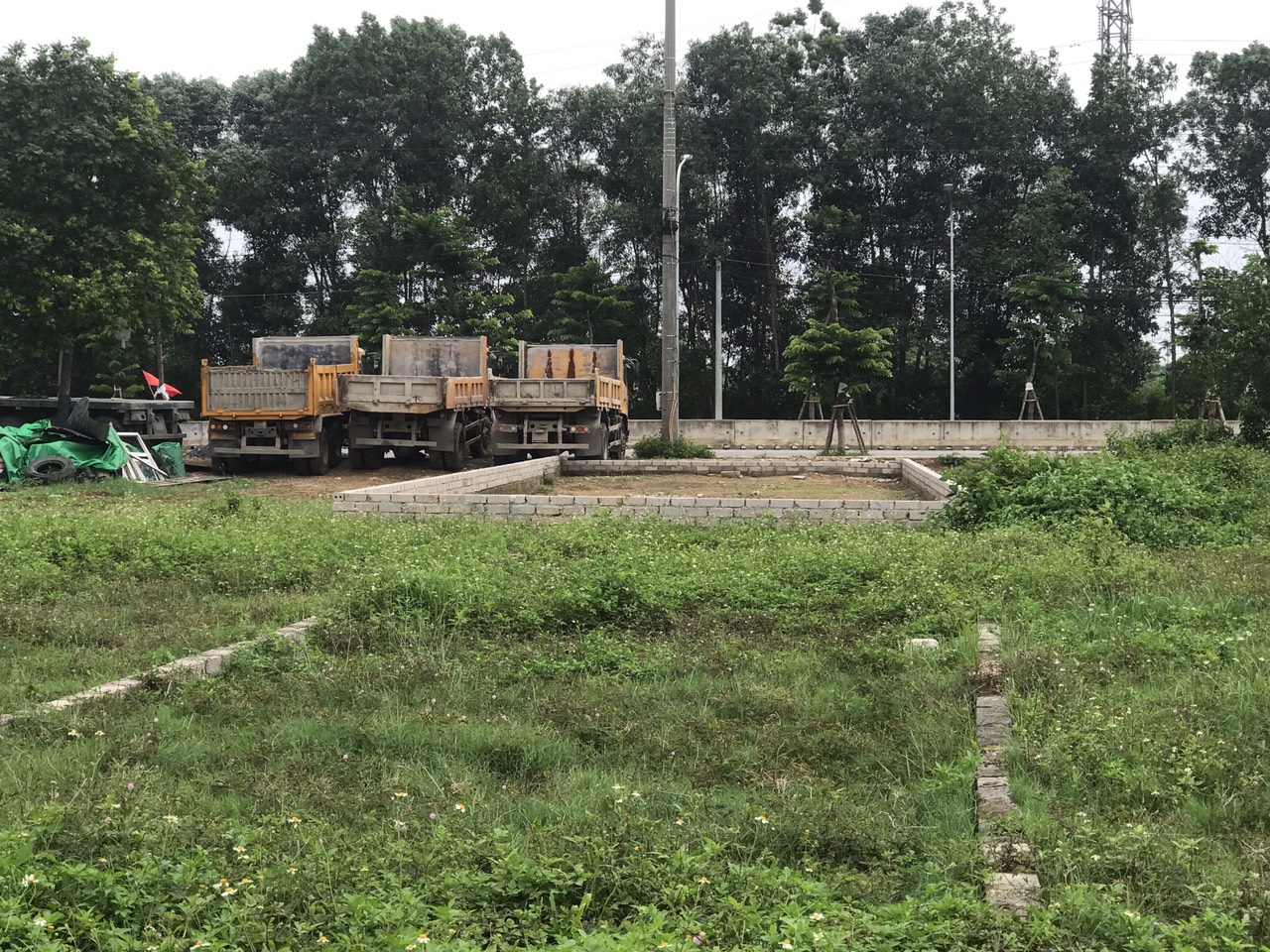 200M MẶT ĐƯỜNG 420 GIÁ 3X