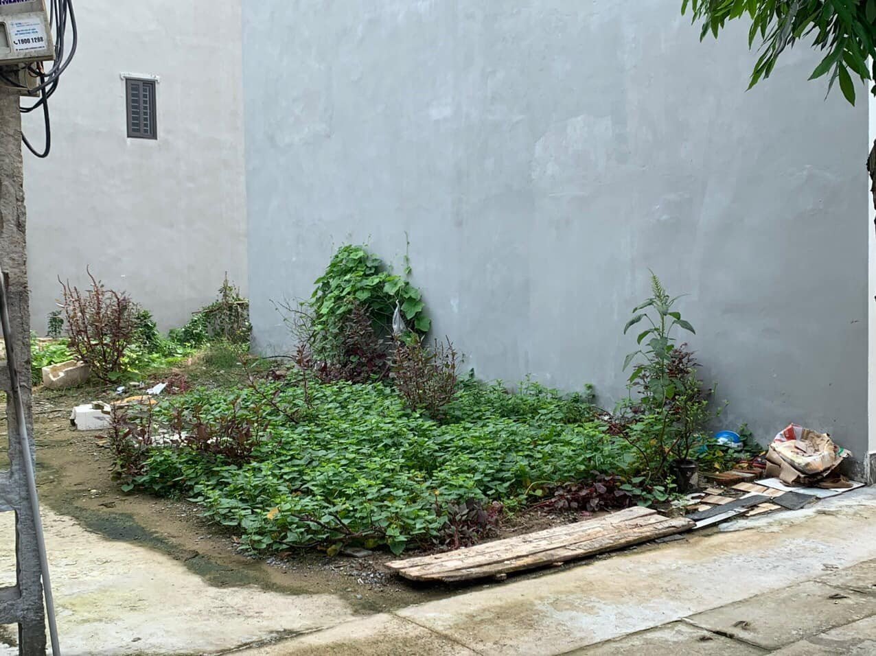 Bán đất xóm Ba xã Vân Nội huyện Đông Anh . Hai mặt tiền diện tích 40m GIÁ CHỈ HƠN 1 TỶ