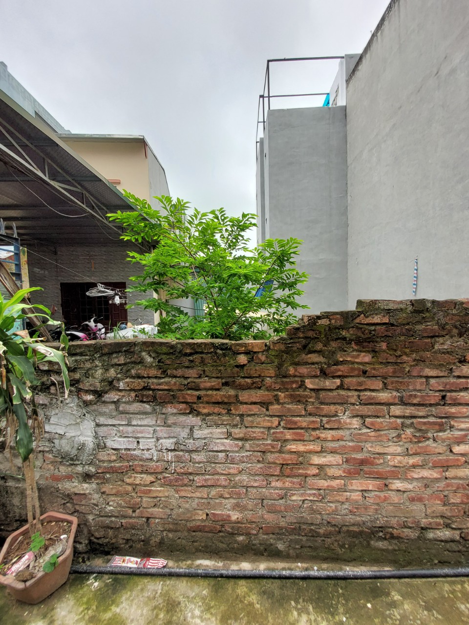 ĐẤT VĨNH TRUNG Ô TÔ ĐỖ CỬA, NGÕ THÔNG THOÁNG AN SINH TỐT 52M2 MT4.5M 2.2 TỶ