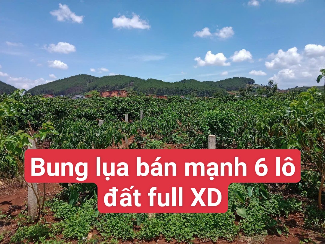 BUNG LỤA BÁN 6 LÔ ĐẤT SIÊU RẺ XÃ MÊ LINH LÂM HÀ - GẦN ĐÀ LẠT