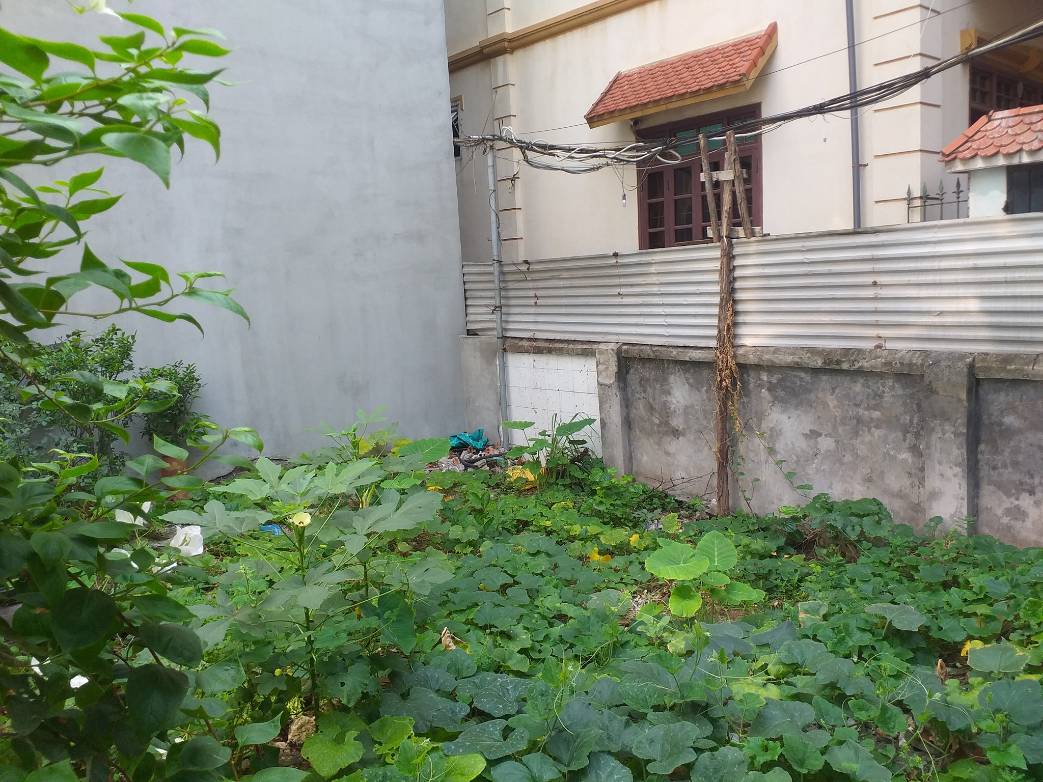 Cần bán ĐẤT Kim Ngưu, Hai Ba Trưng diện tích 39.5m², mặt tiền 4.8 nở hậu, giá chào 3.4 tỷ.