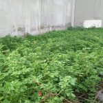  100m2 - 1