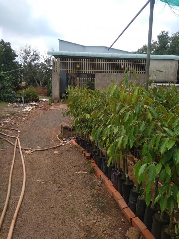 CHÍNH CHỦ CÓ MẢNH ĐẤT ĐẸP CẦN BÁN