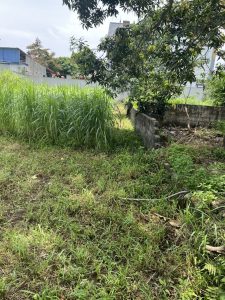 Bán gấp mảnh đất 220m2 Thượng Vực , chương Mỹ , hà nội