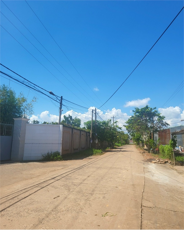 bán gấp nhà xưởng kèm đất trống đang trồng cây ăn trái , đường cont thoải mái di chuyển.