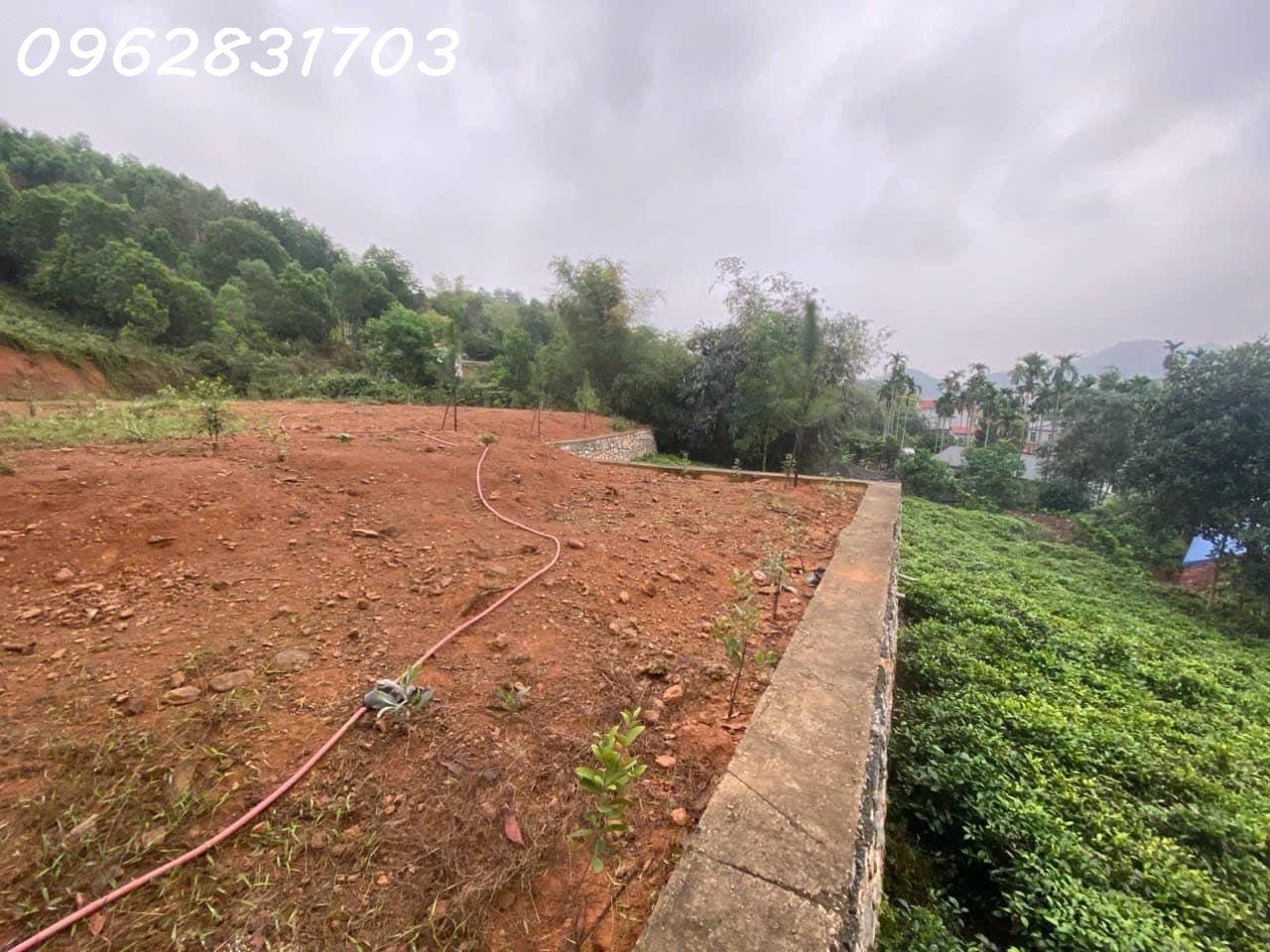 10.500m đất Yên Bình thạch thất giá chưa tới 1tr/m siêu rẻ