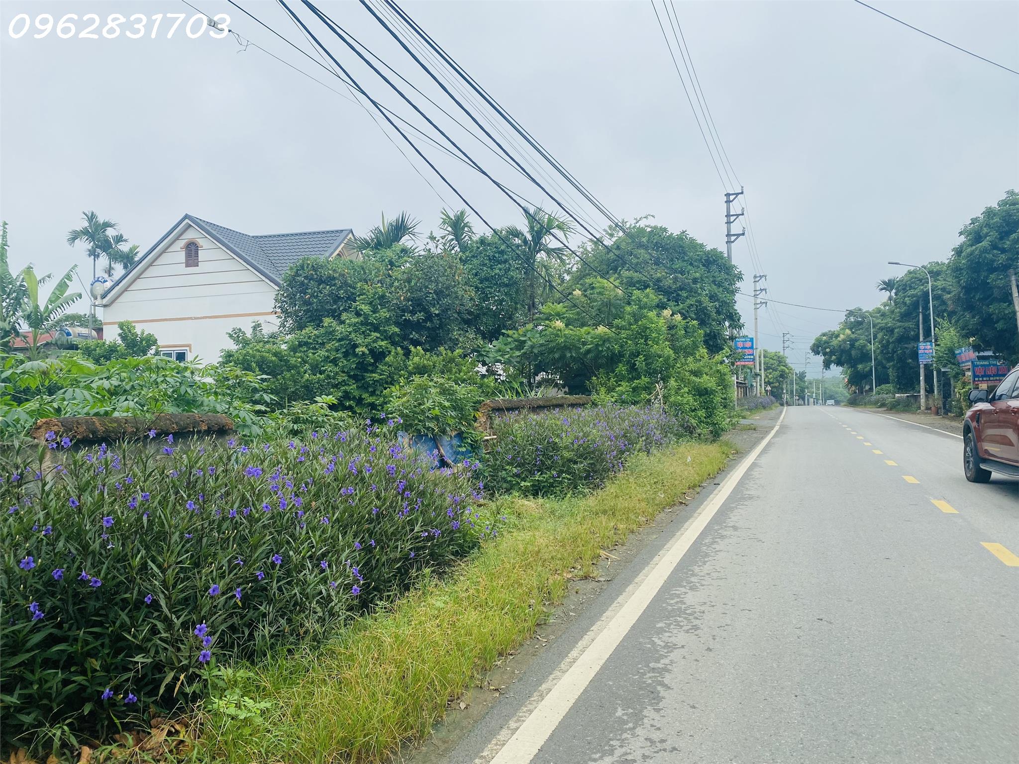 chủ cần tiền bán 1111m có 955m thổ cư trục chính giá rẻ tại phú mãn