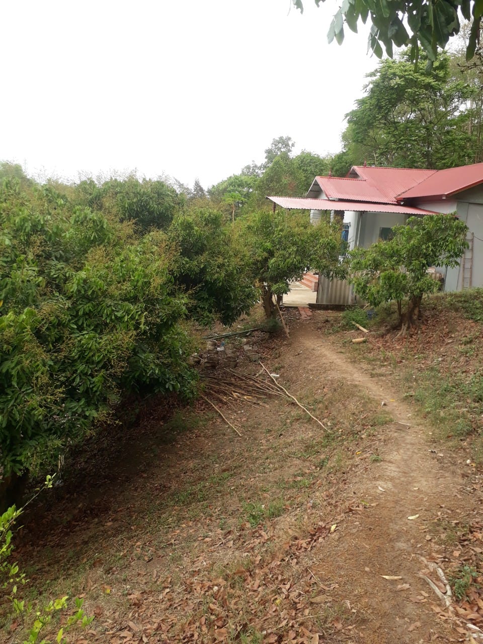 Mình b.án. mảnh đất nhỏ ở tổ dân phố 5 phường Tân Thanh