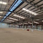  1000m2 - 7