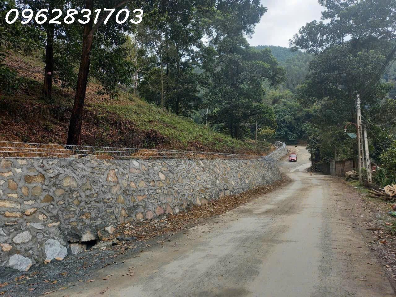 nguyên 1 quả đảo 2,3ha có 400m thổ cư, bám hồ lên tới 100m giá hấp dẫn