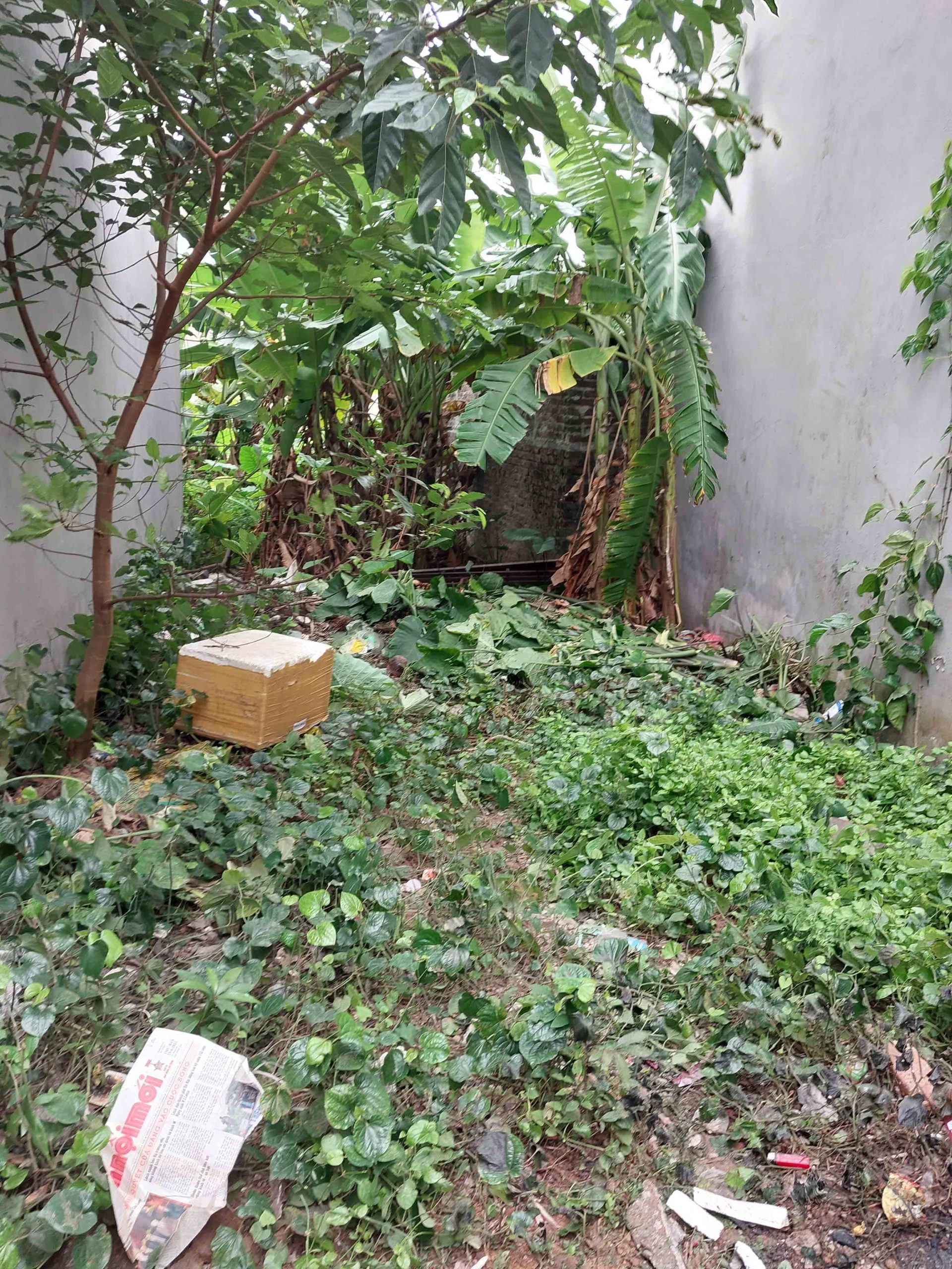 Đất Liên Ninh, ngõ thông kinh doanh ô tô qua vào nhà 50m2, Mt 5m 2.35 tỷ.