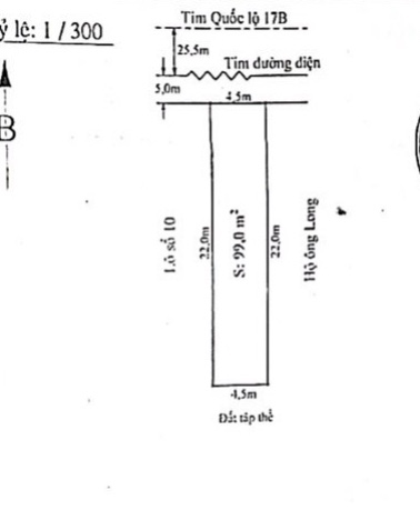 Bán đất mặt đường 208 (xã An Đồng), gần ốc Thùy Linh - 99m2 - mt 4,5m - 5,5 tỷ