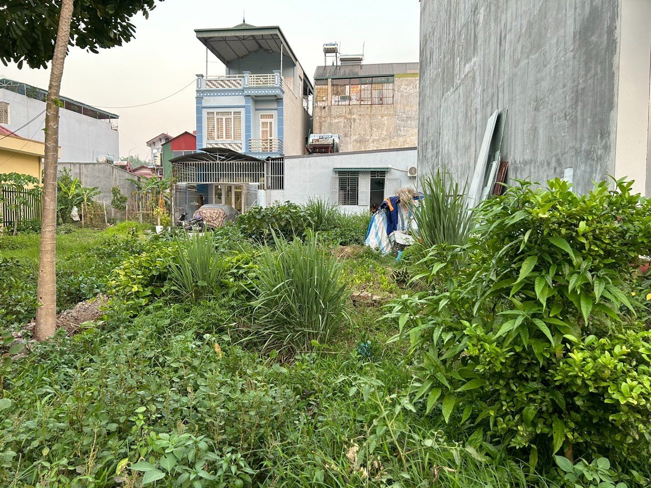 Mình muốn bán mảnh đất ở bản Phiêng Bua p.Him Lam