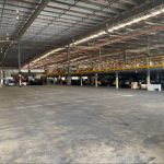  1000m2 - 6