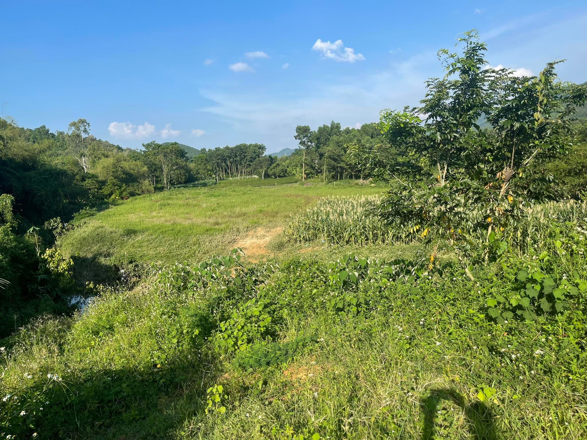 BÁN SIÊU PHẨM ĐẤT NGHỈ DƯỠNG SUỐI ÔM TRỌN , NGỌC THANH ,PHÚC YÊN , VĨNH PHÚC 6000M2