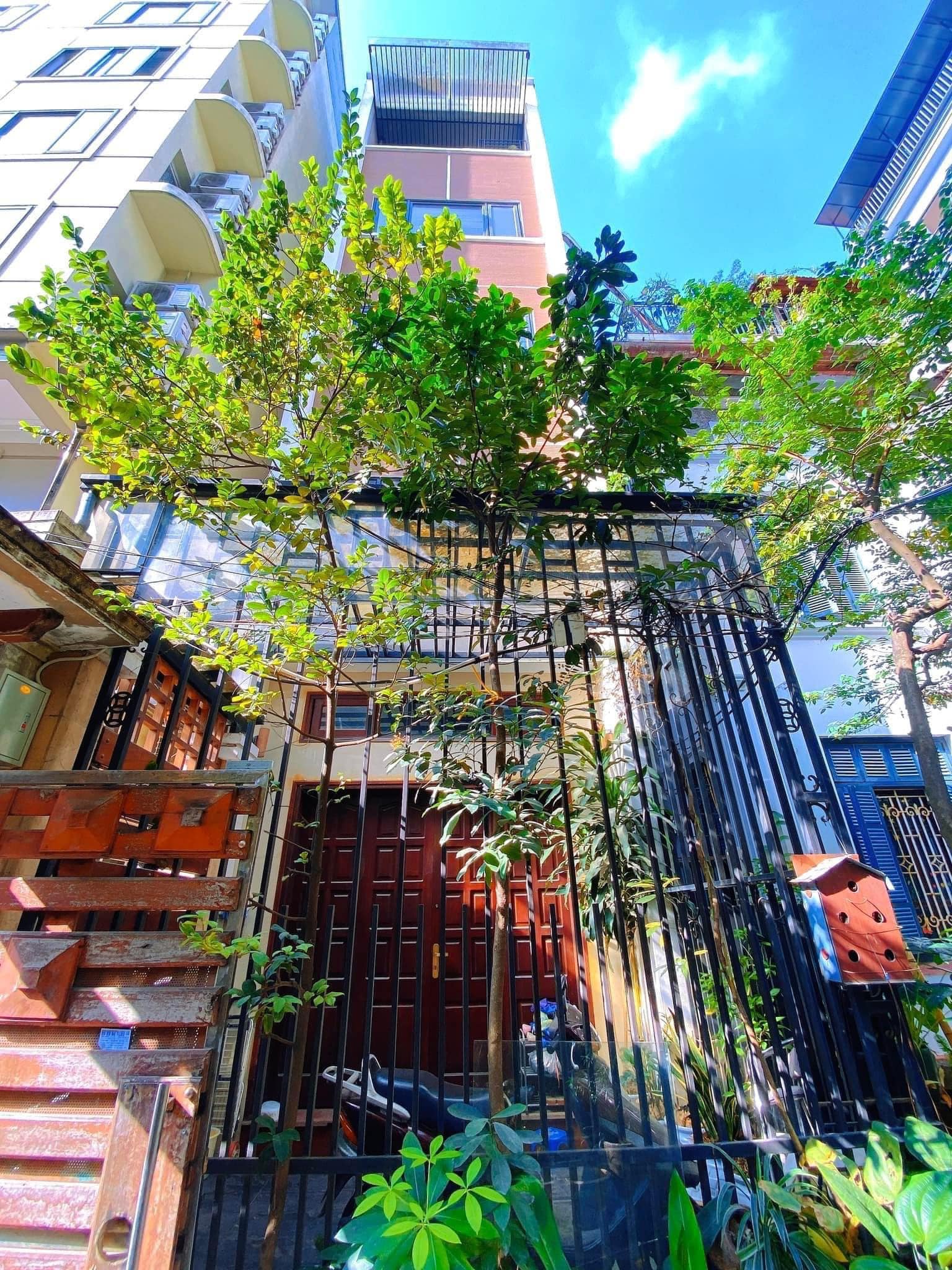 Nguyễn Ngọc Vũ, ô tô đỗ cửa, nhà đẹp gỗ lim, sân vườn, 62m2, 9.9tỷ