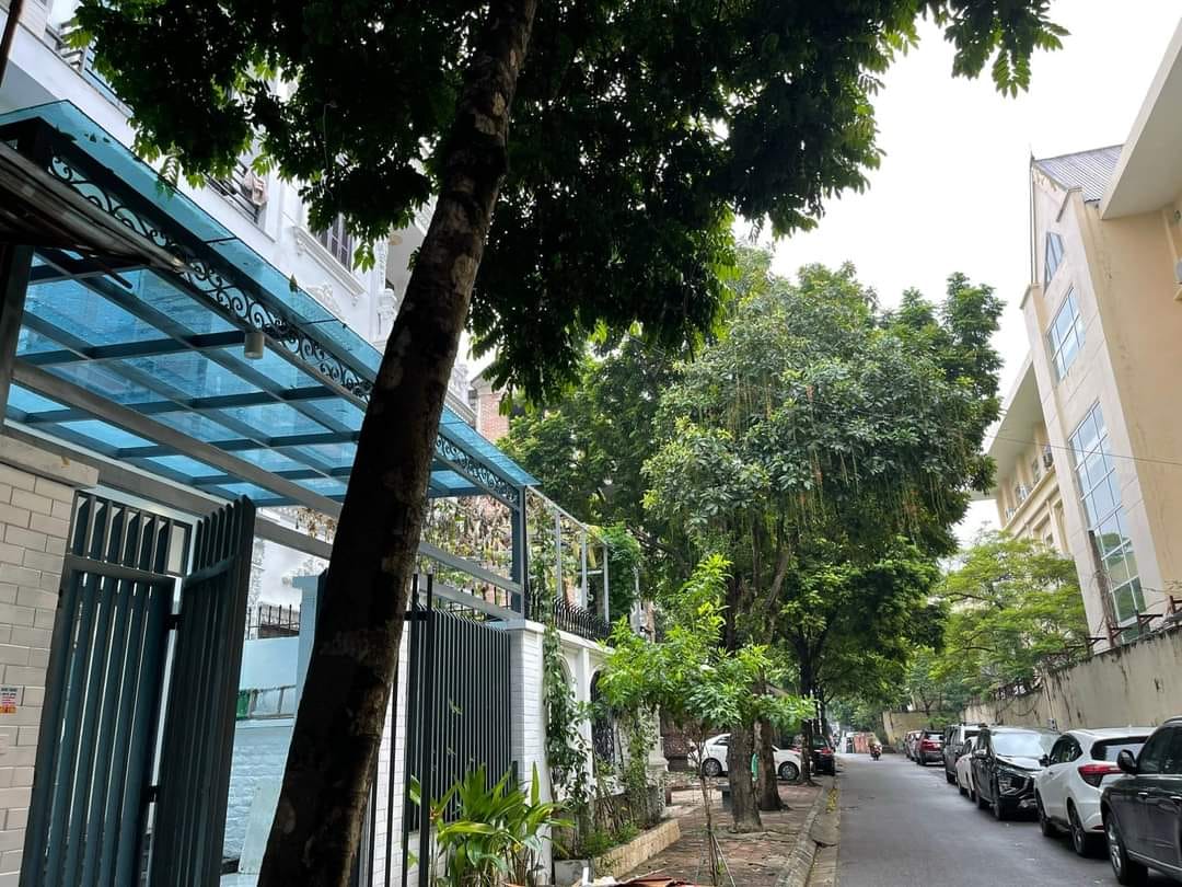 BIỆT THỰ VIP CẦU GIẤY - Ô TÔ TRÁNH - VỈA HÈ - GARA SÂN VƯỜN - NHỈNH 200 TR / M2