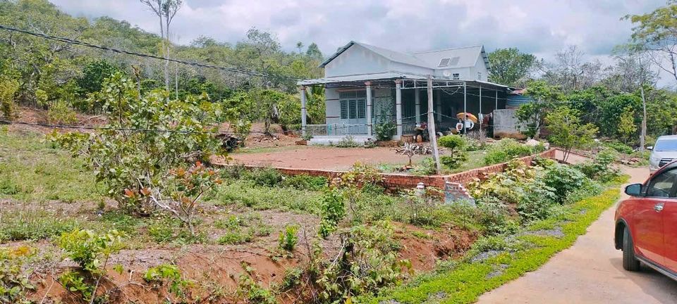 KẸT TIỀN BÁN GẤP 5 LÔ ĐẤT 1.260M2 THỔ CƯ, SÁT CHỢ, KCN, GIÁ 205 TRIỆU