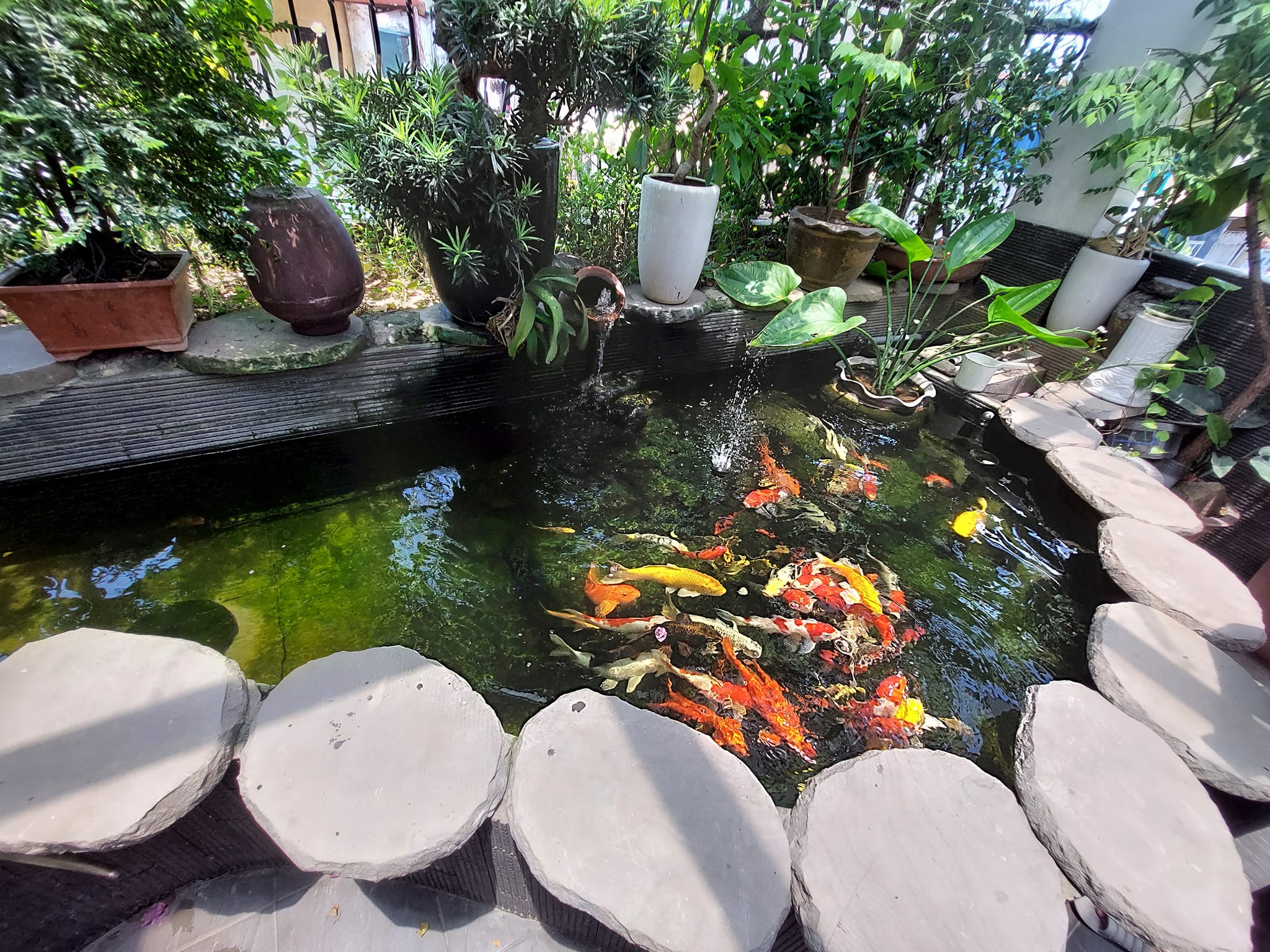 Bán nhà mặt phố Kim Hoa 50m*5 tầng Ô TÔ, Kinh doanh