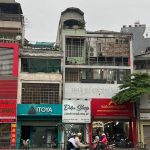  560m2 - 1