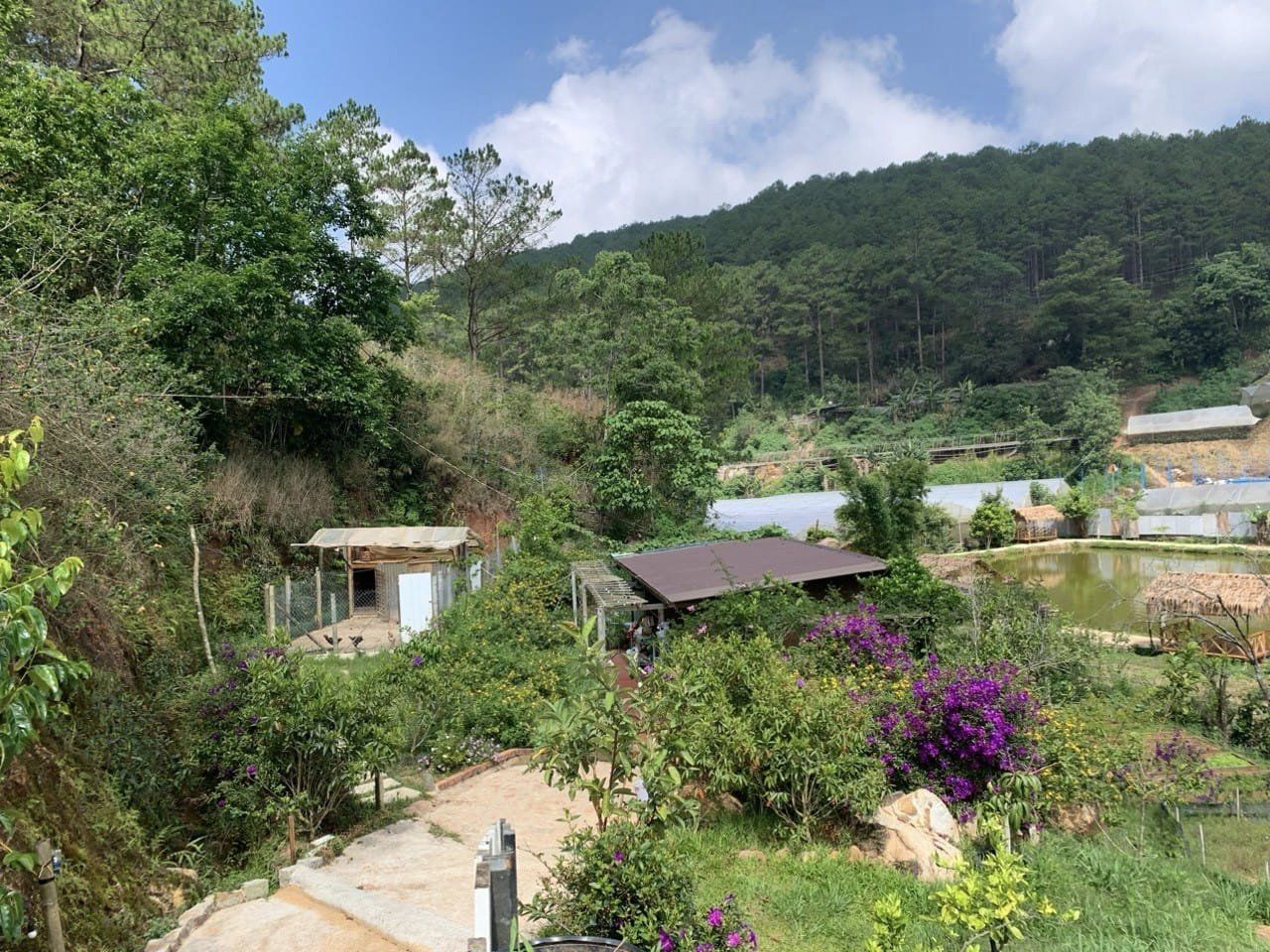  1200m2