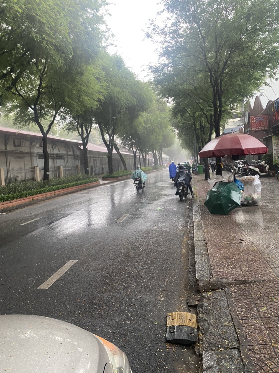 Bán gấp MTKD nở hậu đường Lý Tự Trọng, P. Bến Nghé, Quận 1 với 180 tỷ