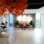  50m2 - 1