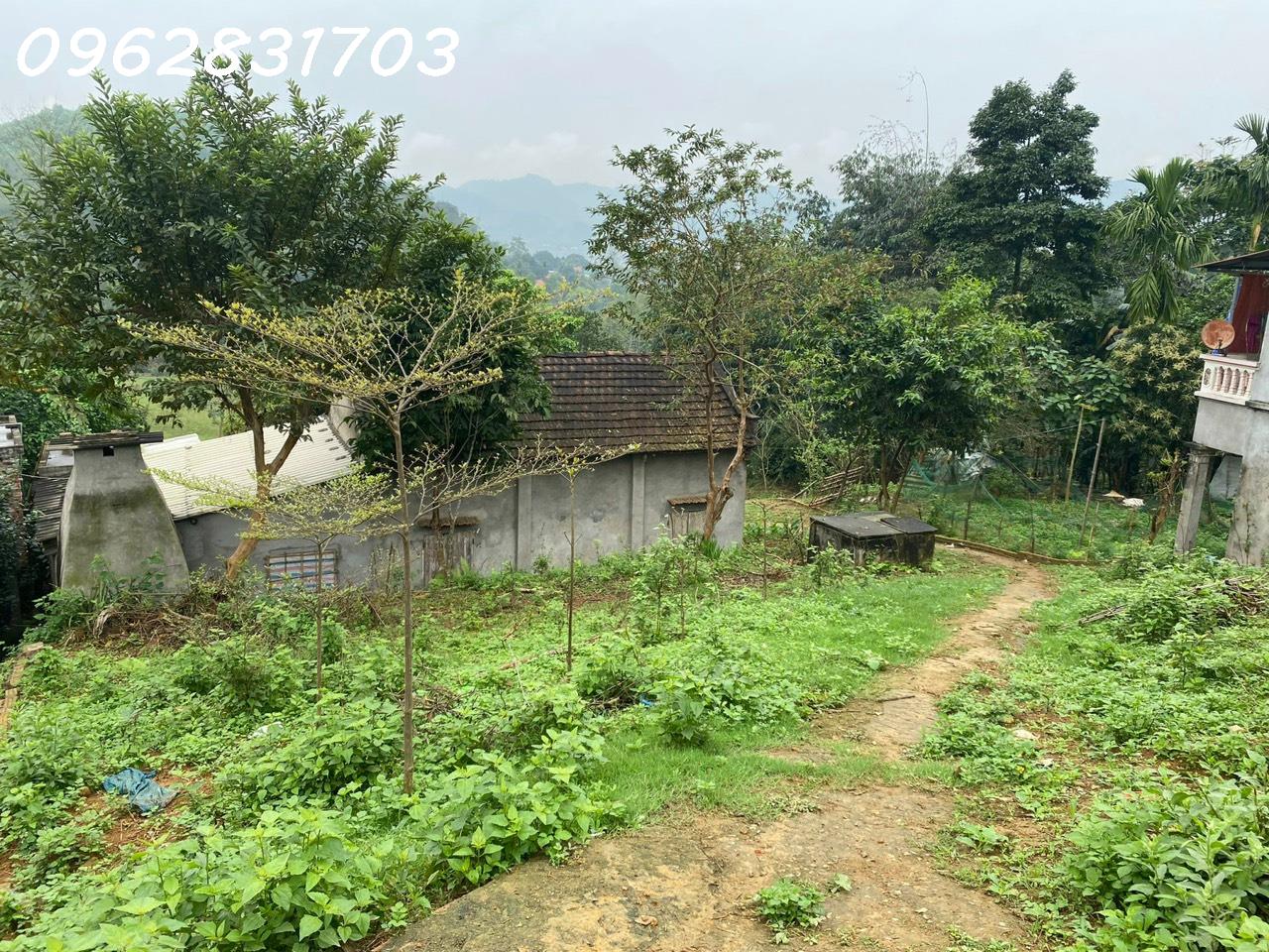 Bán lô đất 676m tại yên trung , cách trung tâm HN 35km