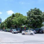  170m2 - 7