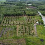  10000m2 - 1