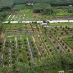  10000m2 - 3