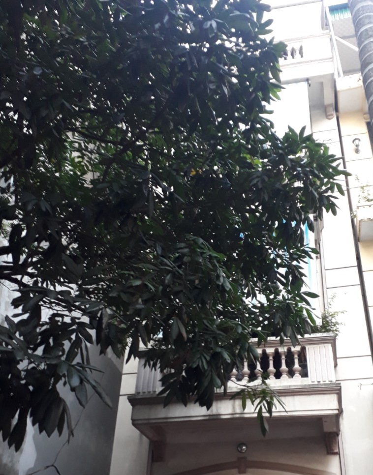 NHÀ BÁN PHỐ HOÀNG CẦU DT 125M. 4TẦNG. 11 TỶ. ĐANG CẦN BÁN GẤP.