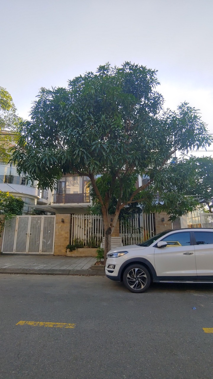 Giảm sốc 5 tỷ, Biệt thự song lập, 300m2, Khu biệt thự Nam Việt Á, chỉ 15 tỷ