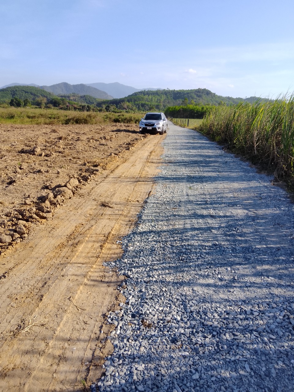 Bán đất làm vườn Diên Đồng giá rẻ sát bên trục đường nhựa liên xã