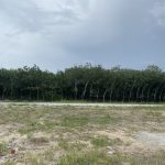  1000m2 - 6