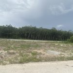  1000m2 - 4