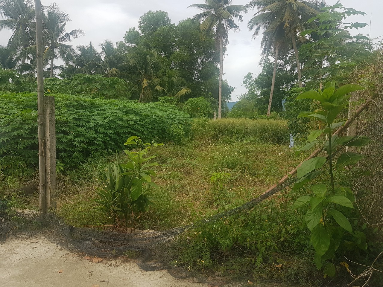 Đất hẻm xe hơi hẻm Lạc Bình, Diên Lạc giá 5,9 triệu