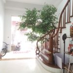  60m2 - 1