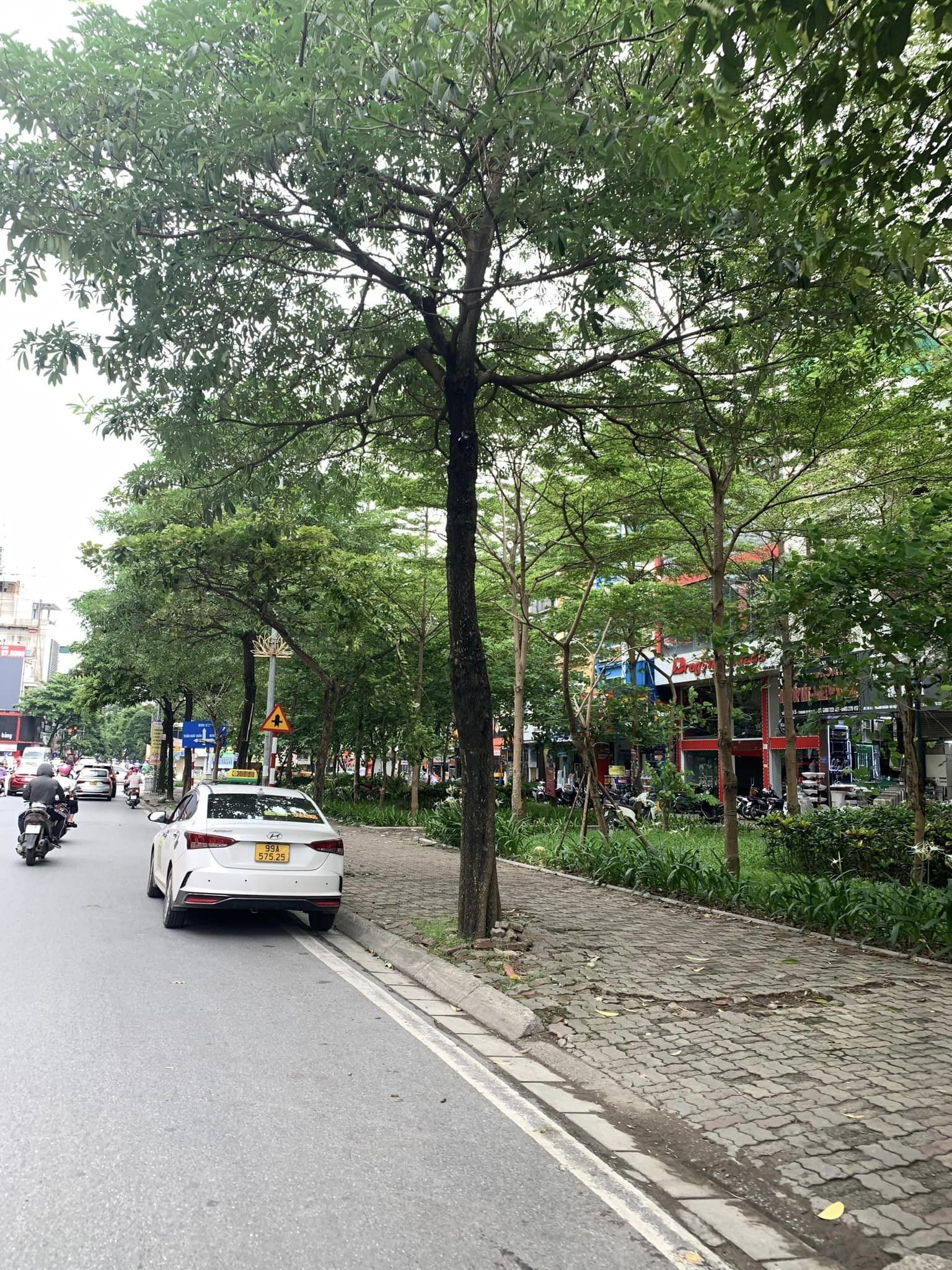 Bán nhà mặt phố Thanh Nhàn HBT 126m2, 5T, MT 9m, 55 tỷ